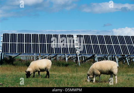 Germania, Pellworm un isola del mare del Nord, pannelli solari della produzione combinata di energia solare ed eolica stazione di EON Foto Stock