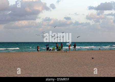 Gruppo sulla spiaggia di Miami con uno sciame di gabbiani overhead. Foto Stock