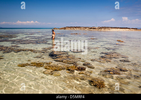 Madagascar Nosy Be, Nosy Tanikely isola snorkeller tra le teste di corallo off spiaggia principale Foto Stock