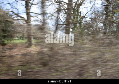 I cespugli e gli alberi visti da una accelerazione dei processi di auto Foto Stock