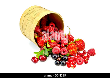 Ribes rosso e nero, lamponi, fragole, ciliege in una ciotola da corteccia di betulla isolati su sfondo bianco Foto Stock