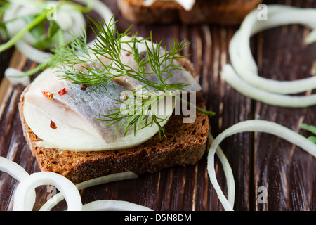 Crostini di pane nero e le aringhe salate, primo piano Foto Stock