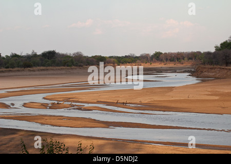 Vista del selvaggio fiume Luangwa in serata, North Luangwa National Park, Zambia Foto Stock