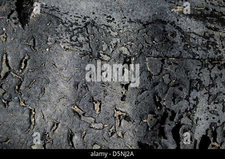 Deserto di catrame essiccato Foto Stock