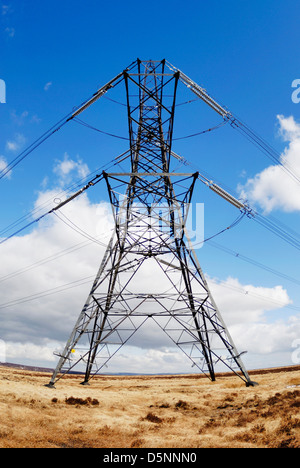 Elettricità tralicci attraversando un altopiano di ormeggiare in prossimità del Lancashire / confine dello Yorkshire. Foto Stock