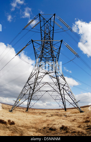 Elettricità tralicci attraversando un altopiano di ormeggiare in prossimità del Lancashire / confine dello Yorkshire. Foto Stock