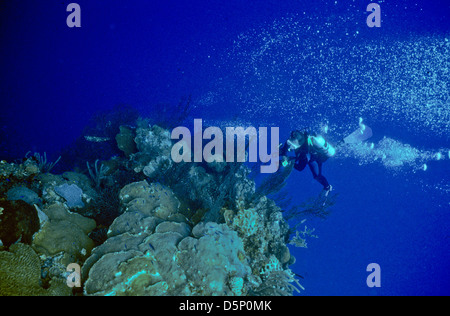 Isole Cayman Sett 1994 diapositive digitale conversioni,Scuba Diving,Divers,Corallo, Fotografia Subacquea,Isole Cayman,dei Caraibi Foto Stock