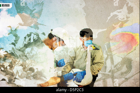 Questa immagine mostra una canoa, tipicamente associata ai Salish della costa, su un corpo d'acqua. Sottolinea il significato della qualità dell'acqua e della scienza ambientale, come monitorato dall'USGS. La scena evidenzia la bellezza naturale dei corpi idrici nella regione del Nord-ovest Pacifico e l'importanza di mantenere la salute dell'acqua. Foto Stock