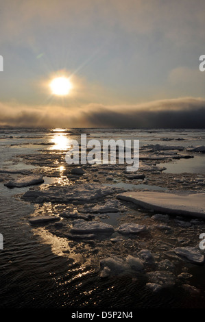 La Cutter Healy della Guardia Costiera degli Stati Uniti opera nelle acque artiche, concentrandosi sulla ricerca sul ghiaccio marino e sul monitoraggio della qualità dell'acqua. La nave svolge un ruolo cruciale nel mantenimento della ricerca in materia di sicurezza e ambiente nella regione. Foto Stock