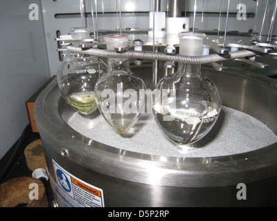 Questa immagine si riferisce all'analisi di un campione d'acqua dalla regione costiera della Louisiana, probabilmente correlato alla fuoriuscita di petrolio Deepwater Horizon. Il campione potrebbe essere stato analizzato per individuare sostanze chimiche come l'olio di mousse, che spesso è un sottoprodotto di fuoriuscite di olio, che influisce sulla qualità dell'acqua. Foto Stock