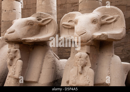 Sfingi con teste di Ram all'ingresso del tempio Amon Karnak Luxor Egitto meridionale Foto Stock