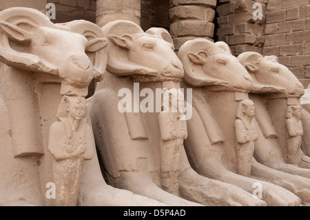 Sfingi con teste di Ram all'ingresso del tempio Amon Karnak Luxor Egitto meridionale Foto Stock