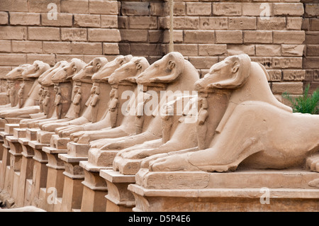 Sfingi con teste di capra all'ingresso del tempio Amon Karnak Luxor Egitto meridionale Foto Stock