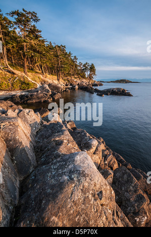 Shark Reef Santuario, Lopez Island, le Isole San Juan, Washington. Foto Stock