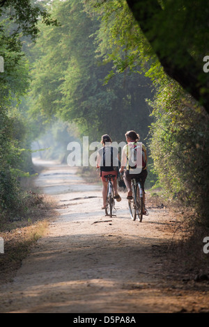 Parco Nazionale di Keoladeo, India Foto Stock