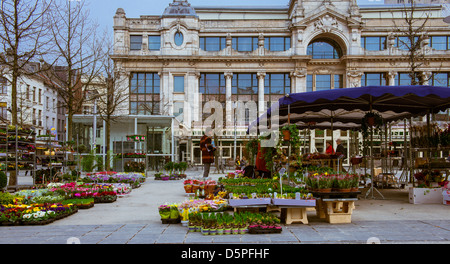 Stallo del mercato nel centro di Anversa di fronte all edificio storico Foto Stock