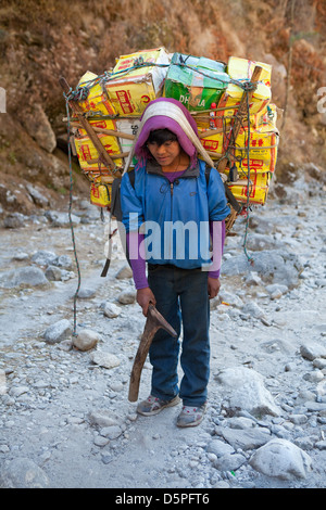 Facchini, Campo Base Everest Trek, Nepal Foto Stock