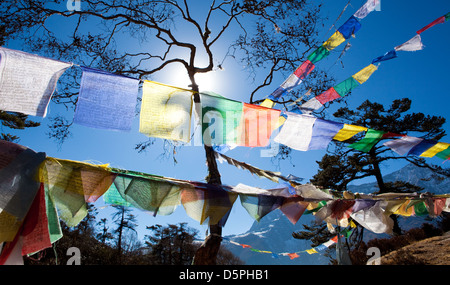 Preghiera tibetano Bandiere Foto Stock