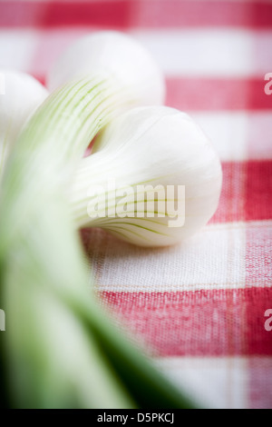 Mazzetto di cipolline fresche sul tavolo da cucina Foto Stock