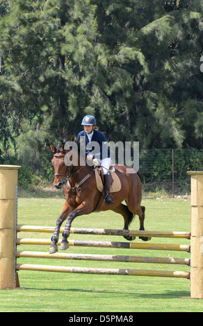 Femmina giovane cavaliere su un cavallo di castagno in corrispondenza di una corsa ad ostacoli Foto Stock