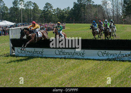 6 aprile 2013 - Raeford, North Carolina, Stati Uniti - Cavalli e fantini loro chiaro il cancello alla sessantaduesima Stoneybrook annuale siepi vicino Raeford, N.C., Aprile 6, 2013. Questo rito annuale di primavera nel Sandhills della Carolina del Nord ha visto generazioni di famiglie provengono anno dopo anno. (Credito Immagine: © Timothy L. Hale/ZUMAPRESS.com) Foto Stock