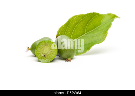 Kiwiberry con foglie Foto Stock