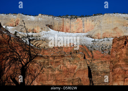 La neve rimane su pietra arenaria rossa cliff lungo il canyon Zion. Parco Nazionale di Zion, Utah, Stati Uniti d'America. Foto Stock