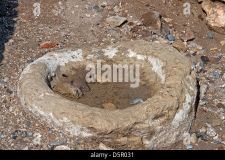 Ciotola in scavato e ricostruito rovine dell età del bronzo palazzo minoico di Cnosso, sull'isola greca di Creta Foto Stock