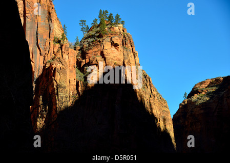 Ombra cade sulla pietra arenaria rossa cliff. Parco Nazionale di Zion, Utah, Stati Uniti d'America. Foto Stock