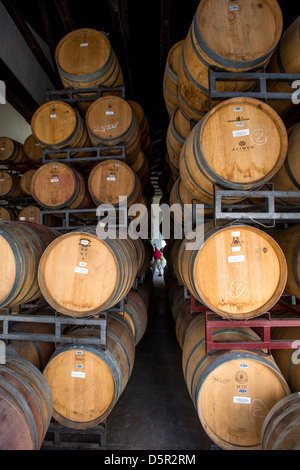 Undurraga i vigneti e la cantina di Talagante Cile Foto Stock