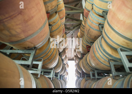 Undurraga i vigneti e la cantina di Talagante Cile Foto Stock