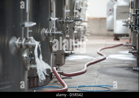 Undurraga i vigneti e la cantina di Talagante Cile Foto Stock