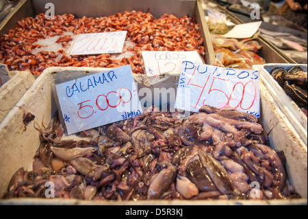 Mercado Central, uno del Cile il più grande pesce fresco mercati Santiago del Cile Foto Stock