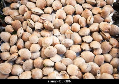 Mercado Central, uno del Cile il più grande pesce fresco mercati Santiago del Cile Foto Stock