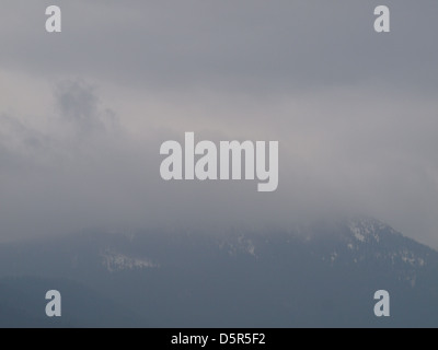 Osser in inverno, Foresta Bavarese Germania Foto Stock