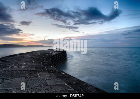 La storica Cobb a Lyme Regis su Jurassic Coast in Dorset Foto Stock