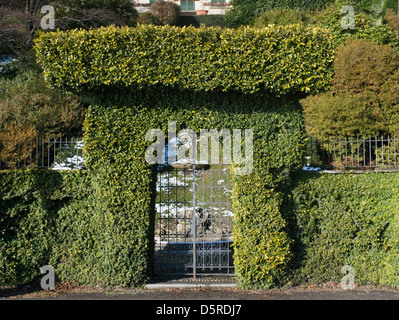 Il portellone in una siepe, Tremezzo, Italia Foto Stock