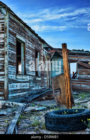 Abbandonato casa turchese in Mojave National Preserve, con fiori di colore giallo e un vecchio pneumatico sul terreno Foto Stock