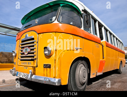 Iconici locale autobus gialli, Malta Foto Stock