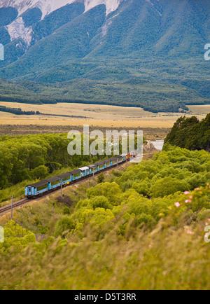 Il Kiwirail Tranz ferroviaria alpina di treno che viaggia attraverso le Alpi del sud, Canterbury, South Island, in Nuova Zelanda. Foto Stock