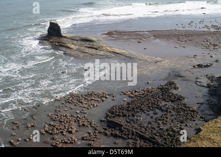 Black Rock Nab Saltwick Bay vicino a Whitby, North Yorkshire, Inghilterra, Regno Unito Foto Stock