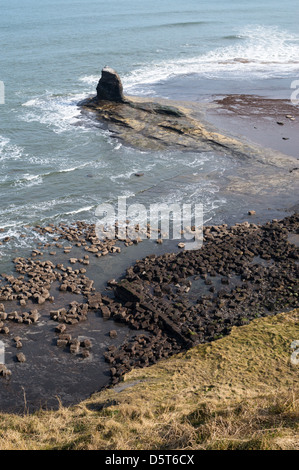 Black Rock Nab Saltwick Bay vicino a Whitby, North Yorkshire, Inghilterra, Regno Unito Foto Stock