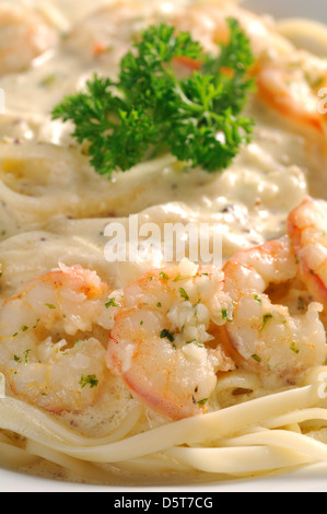 Linguine gamberetto boreale cibo sano cibo marittimo di cibo occidentale cibo Halal Foto Stock