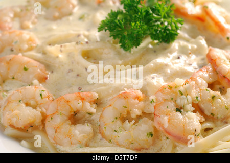 Linguine gamberetto boreale Foto Stock