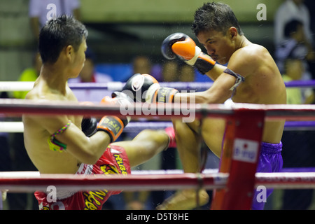 Thai boxing sera lotta al Rajadamnern stadium di Bangkok, Thailandia Foto Stock