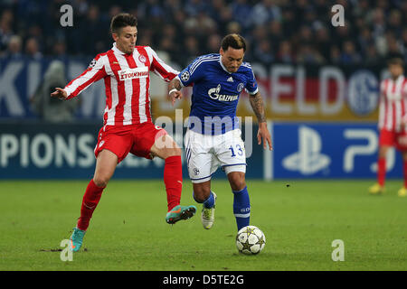 Schalke player Jermaine Jones (R) battaglie per la palla con il porto di Pireo player Leandro Greco durante il match di Champions League tra Schalke 04 vs Olympiakos Pireo al Veltins-Arena a Gelsenkirchen, Germania 21 Novembre 2012. Foto: Revierfoto Foto Stock