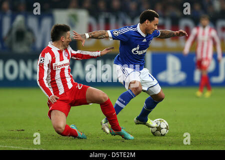 Schalke player Jermaine Jones (R) battaglie per la palla con il porto di Pireo player Leandro Greco durante il match di Champions League tra Schalke 04 vs Olympiakos Pireo al Veltins-Arena a Gelsenkirchen, Germania 21 Novembre 2012. Foto: Revierfoto Foto Stock