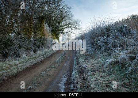 Una stretta e tortuosa strada di campagna con l'orlo e siepe rivestite di brina vicino Coton nel Northamptonshire, Inghilterra Foto Stock