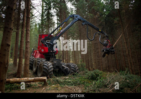 Una trincia semovente, una registrazione speciale vehichle per abbattimento delimbing e strappi alberi, tagli giù un abete durante il raccolto di legname dalla Stato della Sassonia Servizio Forestale nella foresta Unger quartiere vicino a Neustadt, Germania, 26 novembre 2012. Intorno a 1,5 ettari e 10 percento dell'area del distretto di foresta sarà assottigliata secondo piano. Quasi 80.000 metri cubi di legno con una val Foto Stock