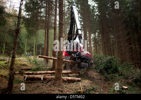 Una trincia semovente, una registrazione speciale vehichle per abbattimento delimbing e strappi alberi, tagli giù un abete durante il raccolto di legname dalla Stato della Sassonia Servizio Forestale nella foresta Unger quartiere vicino a Neustadt, Germania, 26 novembre 2012. Intorno a 1,5 ettari e 10 percento dell'area del distretto di foresta sarà assottigliata secondo piano. Quasi 80.000 metri cubi di legno con una val Foto Stock